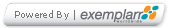 Exemplarr Worldwide Limited is E-publishing Company Chennai and E-Learning Company Chennai India